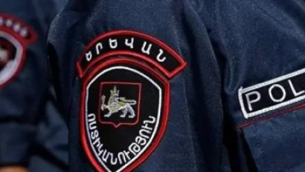 Դիլիջանի ոստիկանները խուզարկությամբ ապօրինի զինամթերք են հայտնաբերել