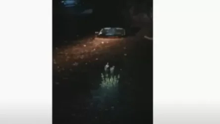 ՏԵՍԱՆՅՈՒԹ. Փրկարարները սելավաջրերում արգելափակված ավտոմեքենաներից դուրս են բերել քաղաքացիներին