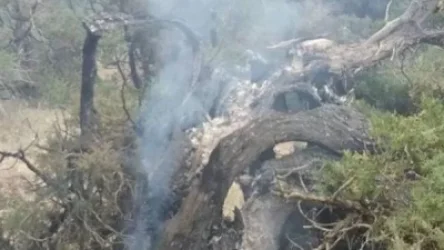 «Խոսրովի անտառ» պետական արգելոցի հրդեհը կայծակի հետեւանք է. նախարարի խոսնակ