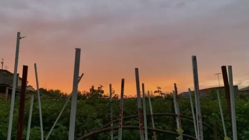 Ինչ եղանակ է սպասվում առաջիկա 5 օրերի ընթացքում