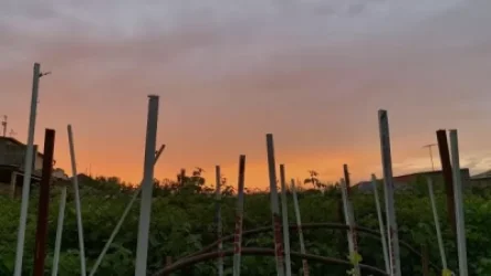 Ինչ եղանակ է սպասվում առաջիկա 5 օրերի ընթացքում