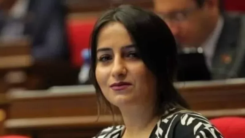 «Դիմակ կրելն արդեն անհնար է: Սա աբսուրդի ժանրից է»․ ԱԺ պատգամավորը կոչ է անում գործել լոգիկայի սահմաններում