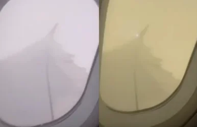 ՏԵՍԱՆՅՈՒԹ. Աբու Դաբի-Երևան չվերթի օդանավը հրաշքով է փրկվել կործանվելուց. ԶԼՄ