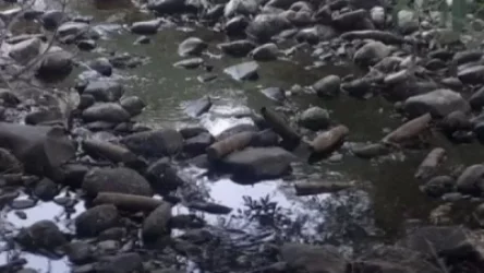 Արփա գետում տանկի արկերի մարտագլխիկներ են հայտնաբերվել