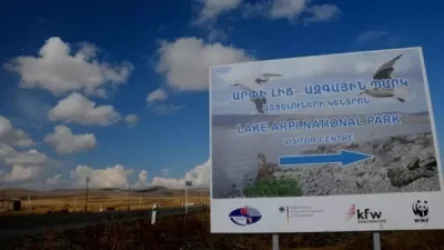 Ձերբակալվել է «Արփի լիճ ազգային պարկ» ՊՈԱԿ-ի տնօրենի ժամանակավոր պաշտոնակատարը