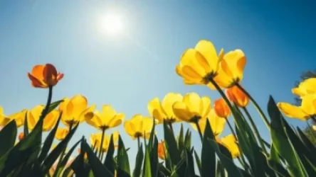 Առաջիկա օրերին ջերմաստիճանն աստիճանաբար կբարձրանա 4-5 աստիճանով