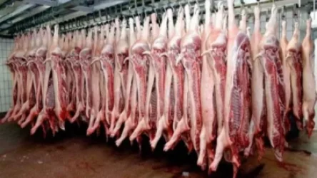 «Ժողովուրդ». Արգելվելու է ոչ սպանդանոցային մորթը