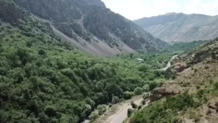 Բացահայտվել են «Վայոց ձորի անտառտնտեսության» մասնաճյուղի տնօրենի ապօրինությունները