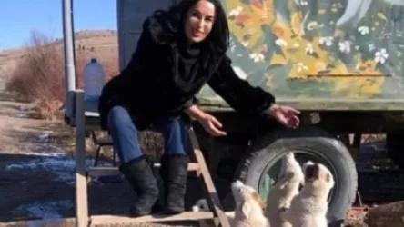 Ամուլսարի այս «պահնորդները» իրենց մեքենայի անիվների տակ ջնջխել են «պոստում» ապրող շան ձագուկներից երեքին․ Զոհրաբյան