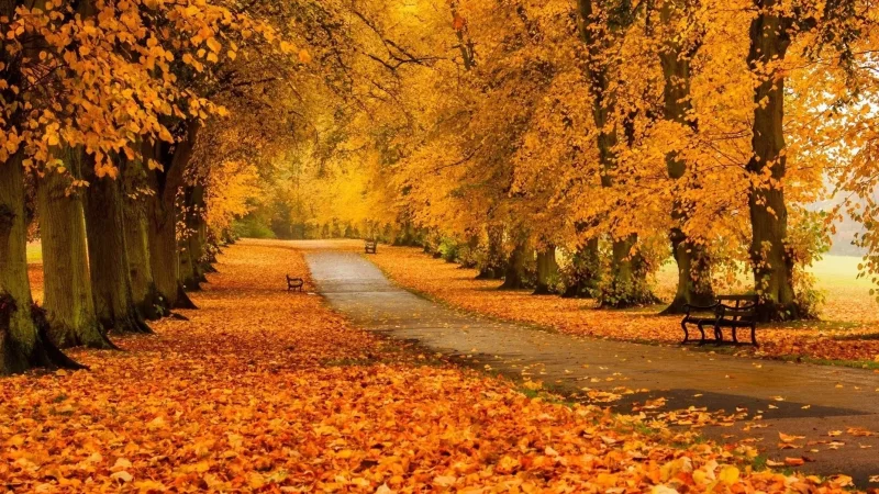 Եղանակը Հայաստանում. հաջորդ շաբաթվա սկզբին անձրև կգա