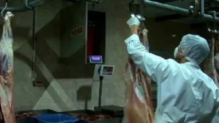 Մենք ասֆալտների վրա մորթվող մսի պատմությանը պետք է վերջ դնենք․ սպանդանոցների վերաբերյալ գործադիրը նոր որոշում ունի