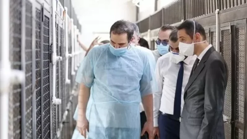 Անապաստան կենդանիների վնասազերծման համայնքային կենտրոնը նոր շենք ու կլինիկա ունի. խոսնակ