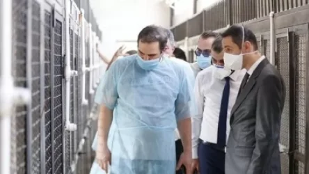 Անապաստան կենդանիների վնասազերծման համայնքային կենտրոնը նոր շենք ու կլինիկա ունի. խոսնակ