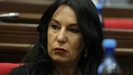 Ձեր փոխարեն ես ուղղակի ներողություն կխնդրեի գյումրեցի տատիկի հարազատներից. Նաիրա Զոհրաբյանի արձագանքը՝ Թորոսյանին