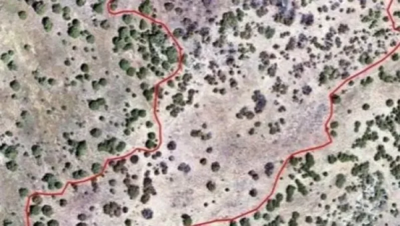 Հայտնի է Խոսրովի արգելոցի այրված տարածքի մակերեսը․ նոր տվյալներ