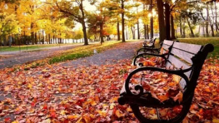 Հայաստանում օդի ջերմաստիճանը կնվազի