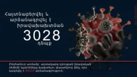 Հուլիսի 3-ին իրականացված արտակարգ ռեժիմով ծառայության ընթացքում հայտնաբերվել է իրավախախտման 3028 դեպք․ ՀՀ Ոստիկանություն