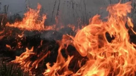 Արենի, Չիվա և Պռինդ գյուղերի միջնամասում բռնկված հրդեհը մեկուսացվել է