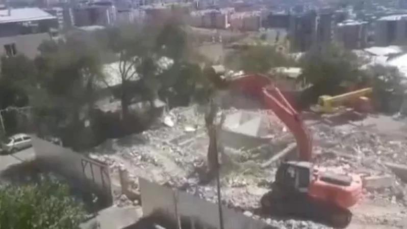 VIDEO: How They Are Destroying the Trees at 7 Abovyan Street
