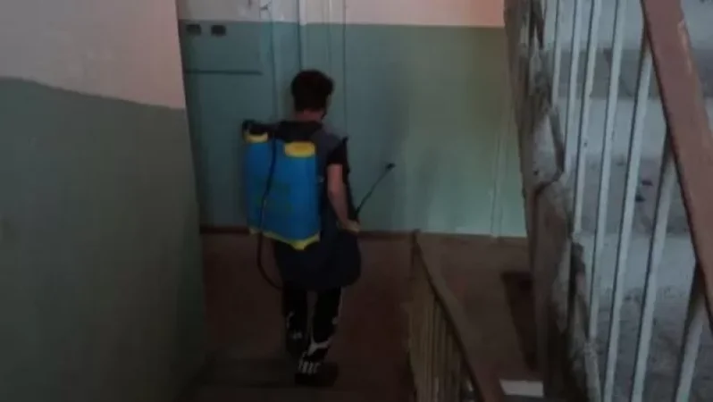 Ի՞նչ է պետք անել, եթե ձեր շքամուտքը պատշաճ չի ախտահանվում