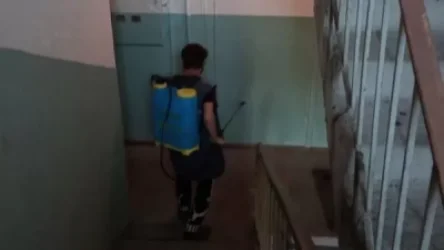 Ի՞նչ է պետք անել, եթե ձեր շքամուտքը պատշաճ չի ախտահանվում