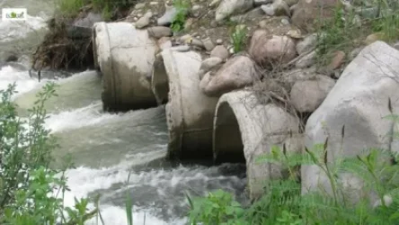 «Եղեգ» ՓՀԷԿ-ն շրջակա միջավայրին 3,8 մլն դրամի վնաս է հասցրել