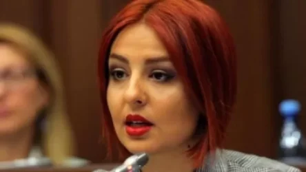 Ծիծաղում եք մարդկանց վրա, հարգելի իշխանություն. տուգանք եք թանկացնու՞մ․ Անի Սամսոնյան