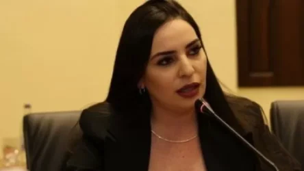 Քաղաքացին տուգանվելու մատերիալ չէ, անկախ նրանից` ով է իշխանության գլուխ․ Թեհմինա Վարդանյան