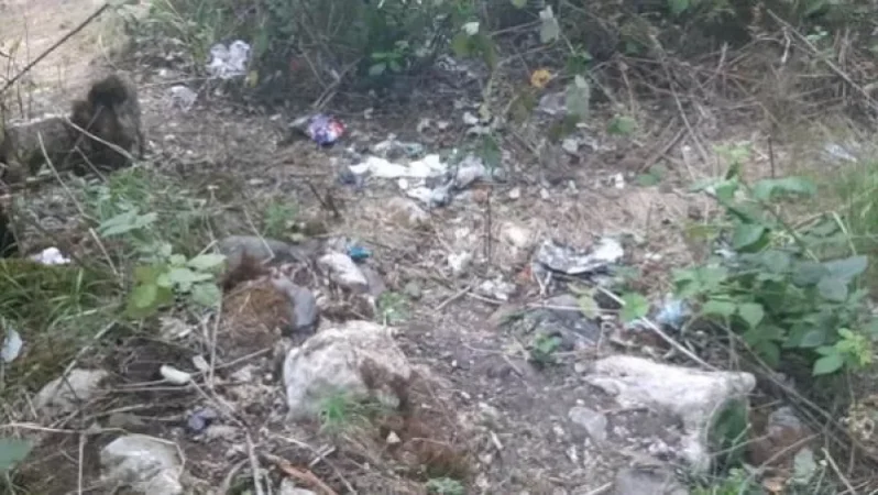 Քաղաքակրթությունից հեռու տեսարան․ Հունոտի կիրճն՝ աղբի մեջ