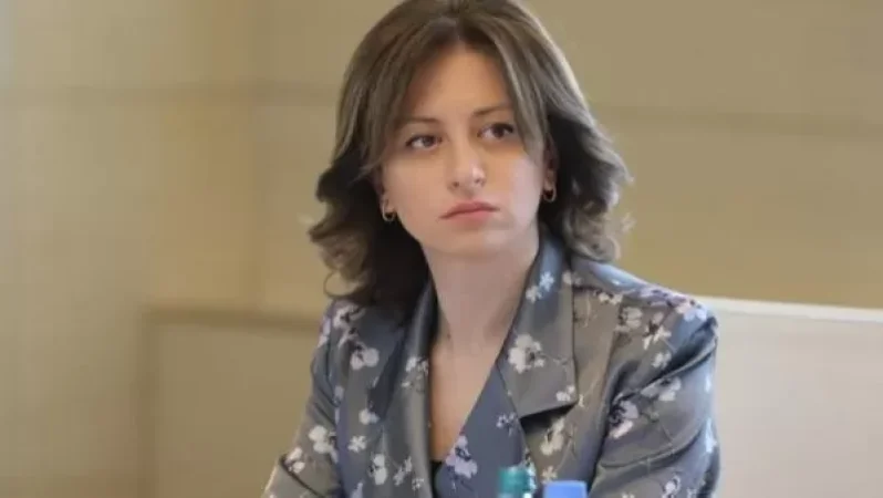 Վրաստանը պատրաստ է օգնել Հայաստանին. Տիկարաձե