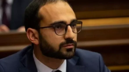 Կարևոր նորամուծություն` հուլիսի 1-ից երեխայի խնամքի և ծննդյան միանվագ նպաստների մասով. Ավինյան