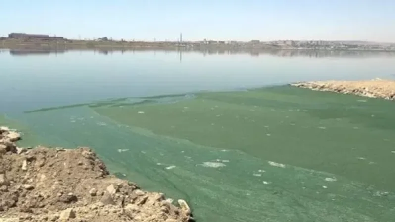 Photo: "In Azerbaijan, not only are the rivers drying up, but the lakes have also started to turn green," Karen Hovhannisyan