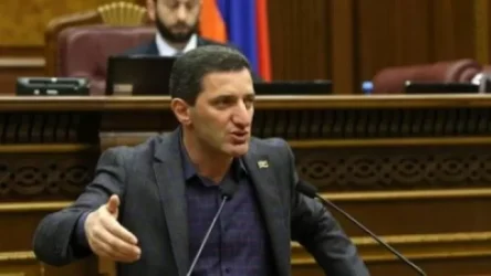 Արա, լավ, ի՞նչքան ա տևելու էս դիմակահանդեսը. Գևորգ Պետրոսյան