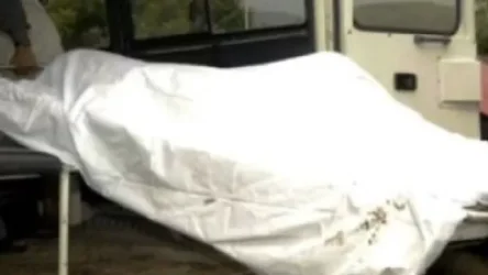 Ողբերգական դեպք Շիրակի մարզում․ Գյուղի հանդամասում կայծակի հարվածից 77-ամյա տղամարդը տեղում մահացել է. Shamshyan. com