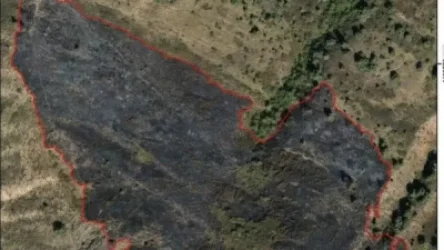 Խոսրովի անտառում այրված տարածքի ընդհանուր մակերեսը կազմում է 3.94 հա