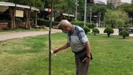 Ի՞նչ ծառատեսակներ և բույսեր են տնկվել Երևանում. Հակոբ Կարապետյանը մանրամասներ է հայտնել