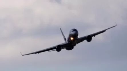 Լոս Անջելես-Հայաստան հատուկ չվերթով Երևան է ժամանակ 265 ուղևոր