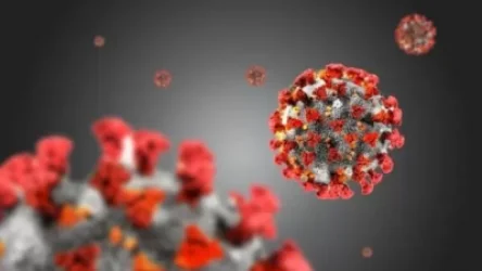 Կորոնավիրուսի վարակման նոր 182 դեպք. դեպքերի թիվը 32 151 է