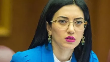 Տիկի՛ն, մենք խաղաղություն չենք խնդրում, մենք այն ձեզ պարտադրել ենք. Արփինե Հովհաննիսյանը` Մեհրիբան Ալիևային