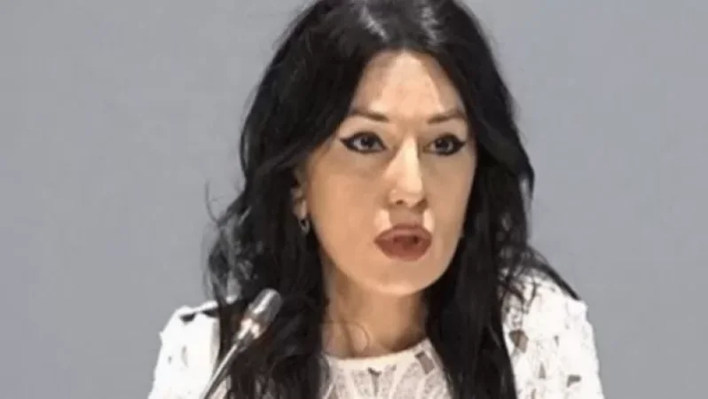 Նաիրա Զոհրաբյանը դիմում է միջազգային կառույցներին