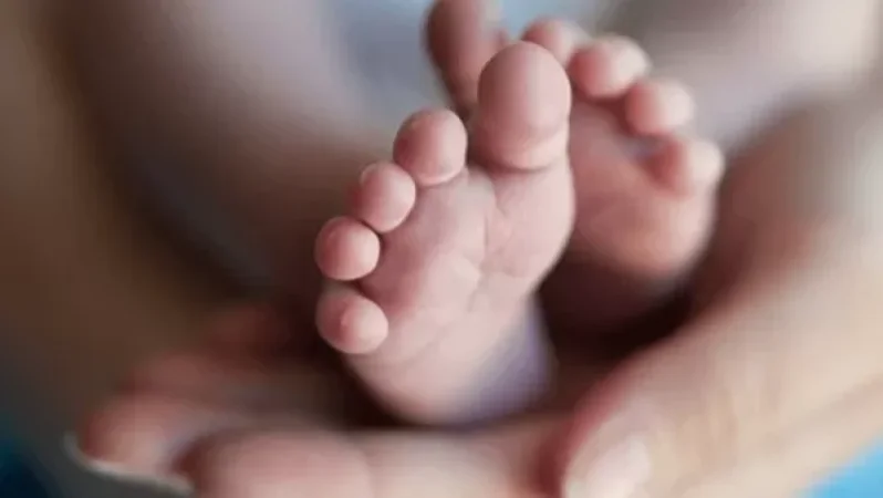 Ապօրինի որդեգրումների շղթան հասնում է Հովիկ Աբրահամյանի խորհրդականներից մեկին․«Ժողովուրդ»