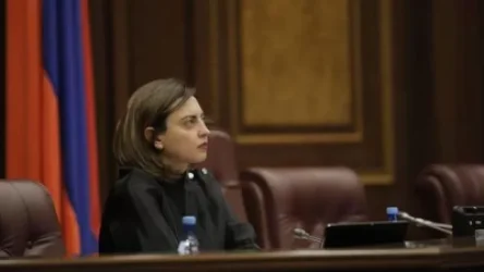 Լենա Նազարյանն Ադրբեջանի սադրանքների վերաբերյալ նամակներ է հղել Չինաստանի և Վրաստանի իր գործընկերներին