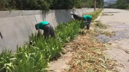 «Հաղթանակ» զբոսայգին սկսում է շնչել. Կարապետյան