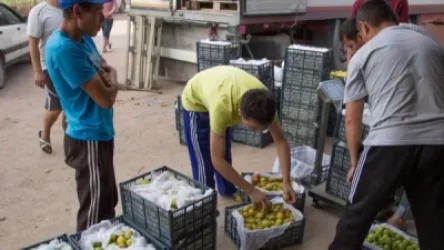 Մոսկվայի շուկաներում ադրբեջանցիները խոչընդոտում են հայկական գյուղմթերքի իրացմանը. «Հրապարակ»