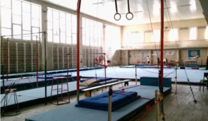 Յուրաքանչյուր պաշտոնյա, որը խոսում է «սպորտային հաջողությունների» մասին, պետք է այս թվերը աչքի առաջ ունենա. Արթուր Նազարյան