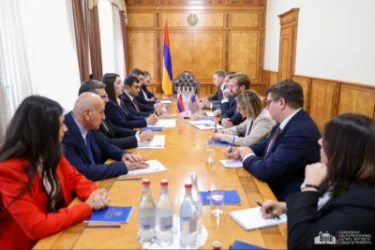 ՆԳ նախարարը ԱՄՆ ներկայացուցչի հետ քննարկել է «Թրամփի ուղի» նախագիծը