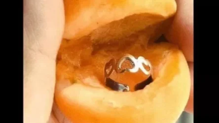 Ծիրանի հերթում նշանադրություն է տեղի ունեցել. ՔՊ անդամ