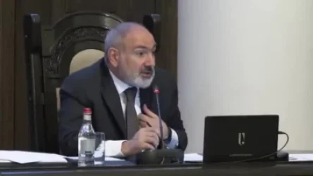 ՏԵՍԱՆՅՈՒԹ․ Գերմանիայում ուսանողները ձեռքերն օճառելիս ծորակը փակում են, իսկ մեզ մոտ մինչև 300 լիտր չխշշա, չենք լվացվի. Փաշինյան