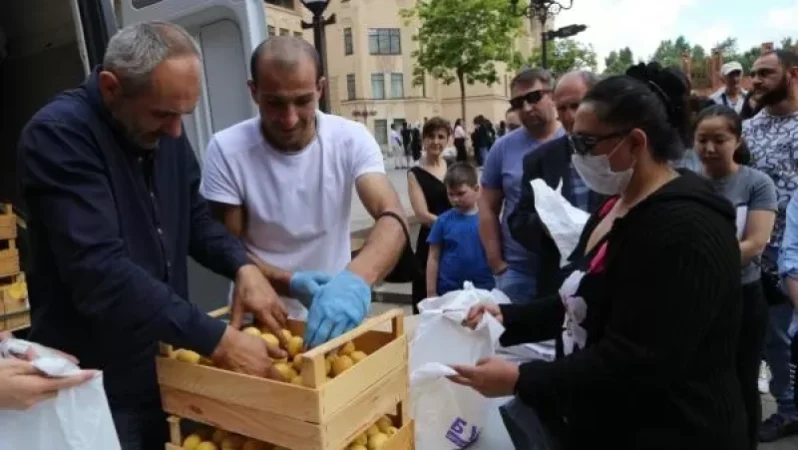 Live: Charity Event for Apricot Distribution in Moscow