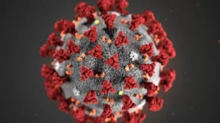 Վրաստանում մեկ օրվա ընթացքում գրանցվել է կորոնավիրուսի 10 նոր դեպք